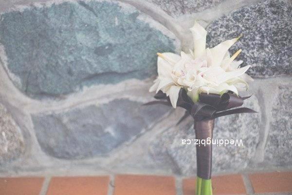 Wedding Flowers & Wedding Florists Listing Category Amoda Flowers