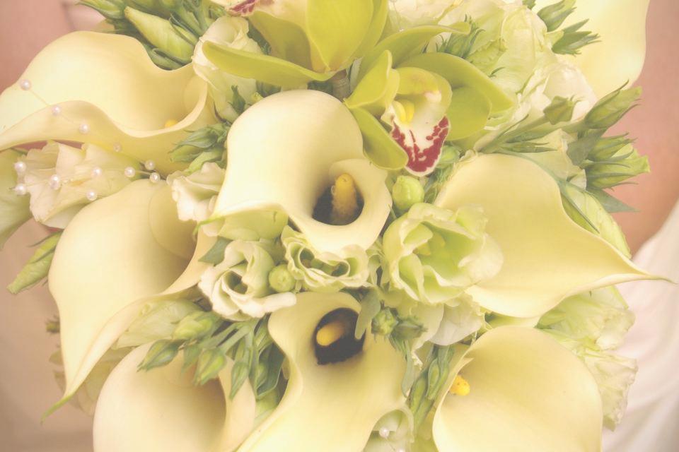 Wedding Flowers & Wedding Florists Listing Category APPF&D