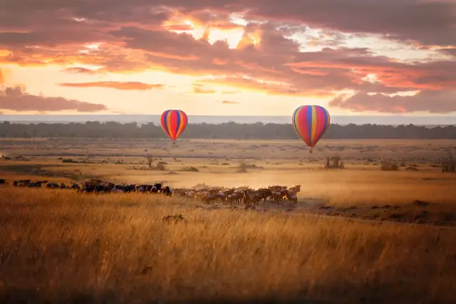Honeymoon Destination Listing Category East Africa Wild Adventures