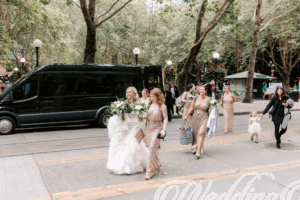 Wedding Transportation Business Guide.