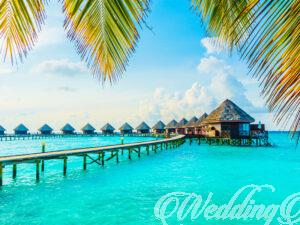 Deciding on the Perfect Honeymoon Destination: A Guide.